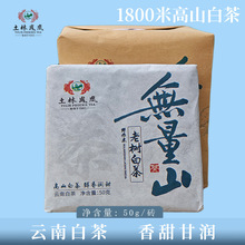 跨境云南白茶2024年春茶寿眉松压小方砖老无量山产区50g巧克力茶