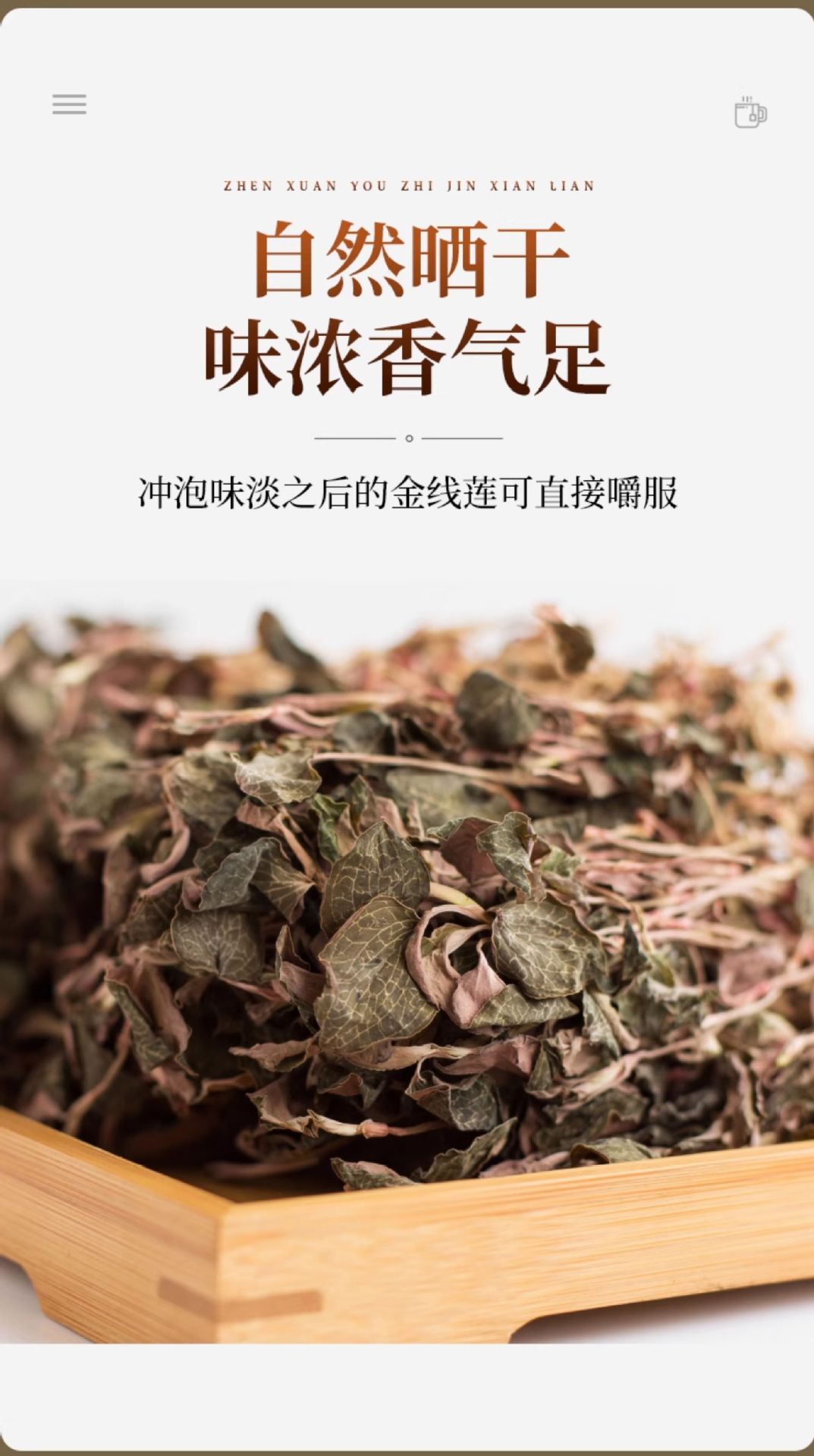 Anoectochilus Dried Whole Plant Tea 250g Fujian Jinxianlian Gift Box in use