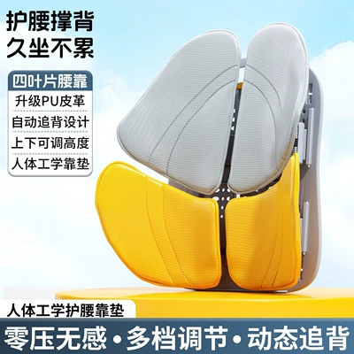support, back support tool, Waist support