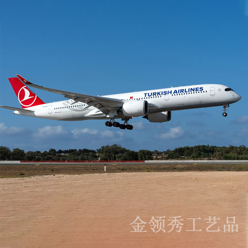 C919教学模型合金客机餐厅打卡点
