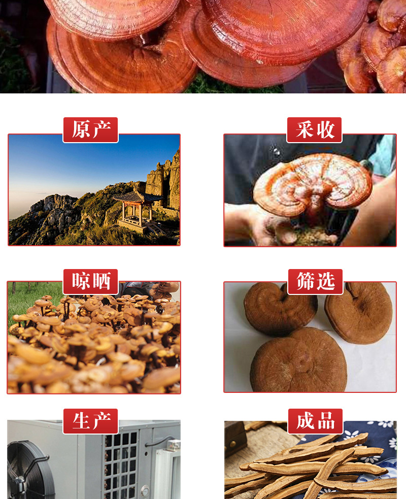 Changbai Mountain Reishi Mushroom Slices (Ganoderma lucidum) — Dried Ling Zhi for Tea & Soup quality and texture