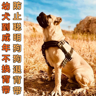 ���ر�������Ȯ ��Ȯ����Ӗ�������b�ر����ﱳ��ʽ�ر������ر�