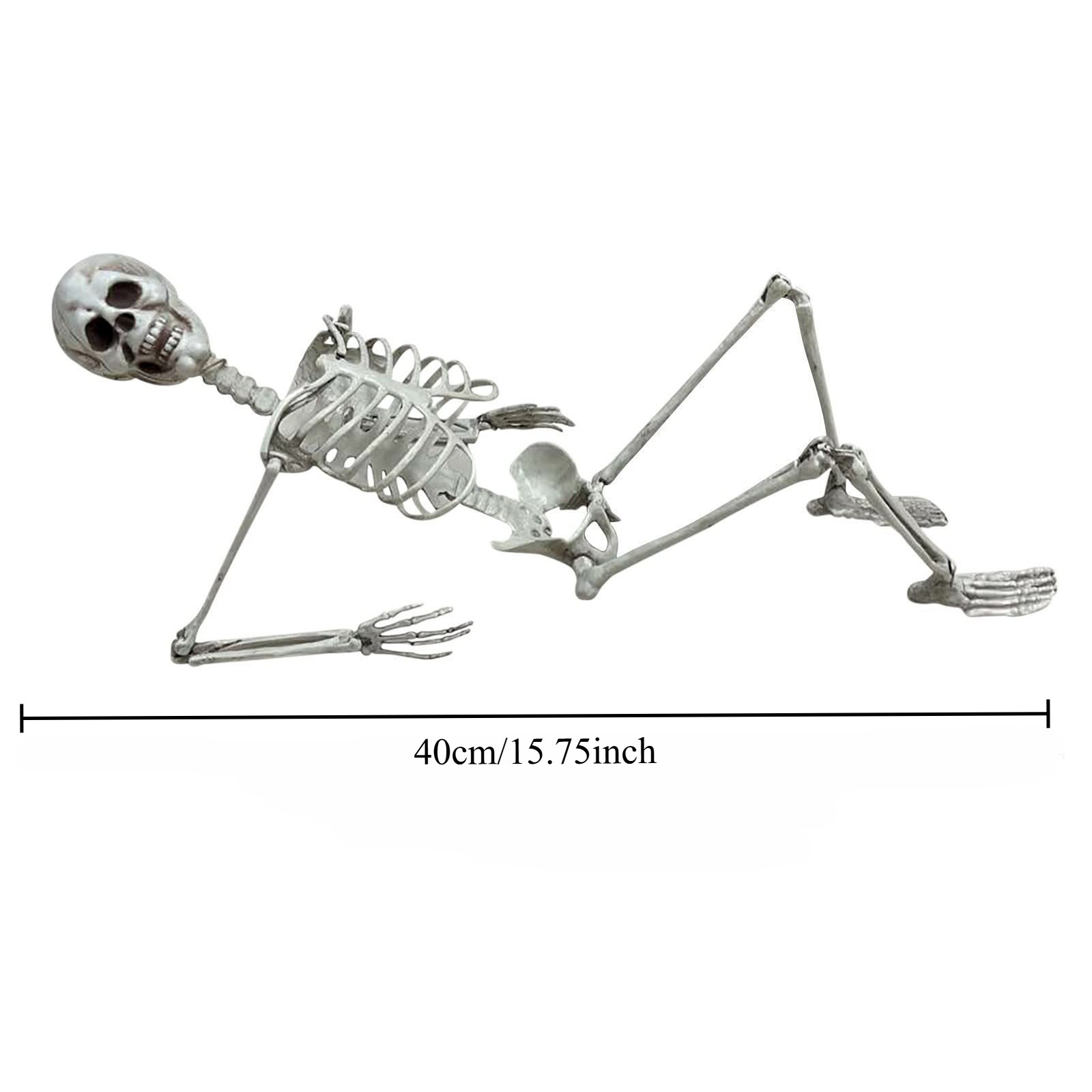 Скелет (40см)