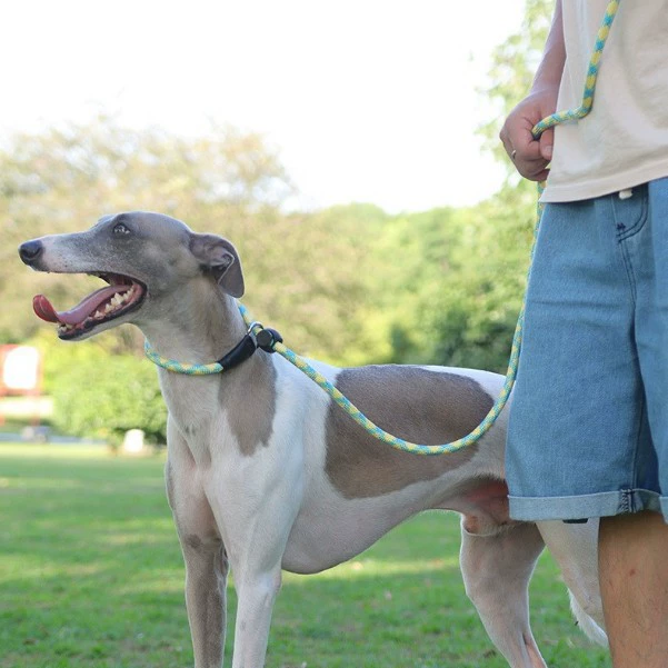 Новый поводок для домашних животных Взрывоопасный струн для струн отражающие собачий поводок