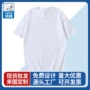 半袖宽松新款春季t恤