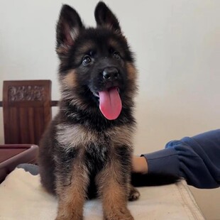 ���N������Ȯ��ȮѪ�y��Ȯ�ڱ�ِ�������ǹ��ȇ�����Ȯ��������