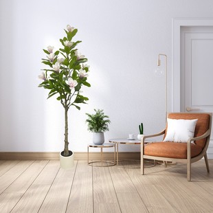 �Ҿ��b�ɫ�������m����90/120/160/180/200cm�Ƶꙻ���W�t��