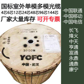 GYTA光缆室外铠装直埋GYTS12B1.3单模24芯48光纤阻燃长飞烽火中天