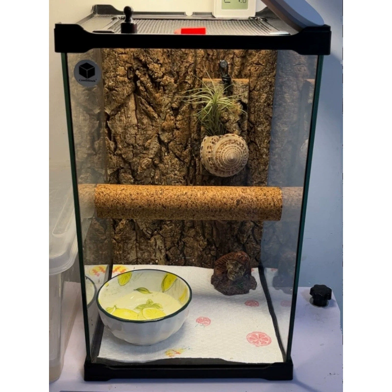 Корковые палочки для восхождения домашних животных, украшения и ландшафтного дизайна для гигантских гекконов, гекконов и древесных лягушек.