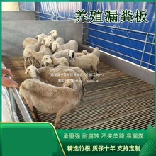 �����i�а��u����Ȧ�|��©�S����Bֳ���򴲴��Z���Bֳ�iţ����