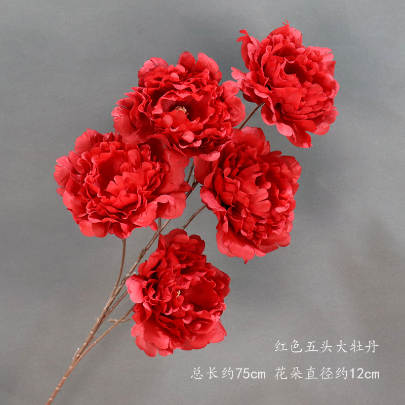 머리가 다섯 개인 붉은 모란 한 송이