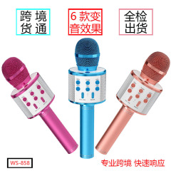 クロスボーダー貨物通WS-858マイク一体オーディオ携帯電話歌神器無線bluetoothマイク通用クロスボーダー