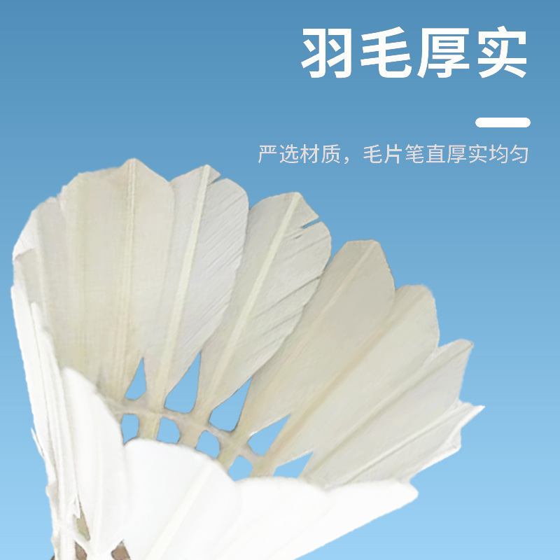 正品耐打王羽毛球12只装稳定耐打专业训练鹅毛无标比赛用球|undefined