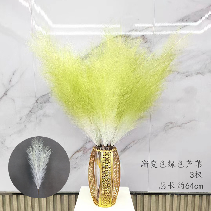 Gradiente verde Reed