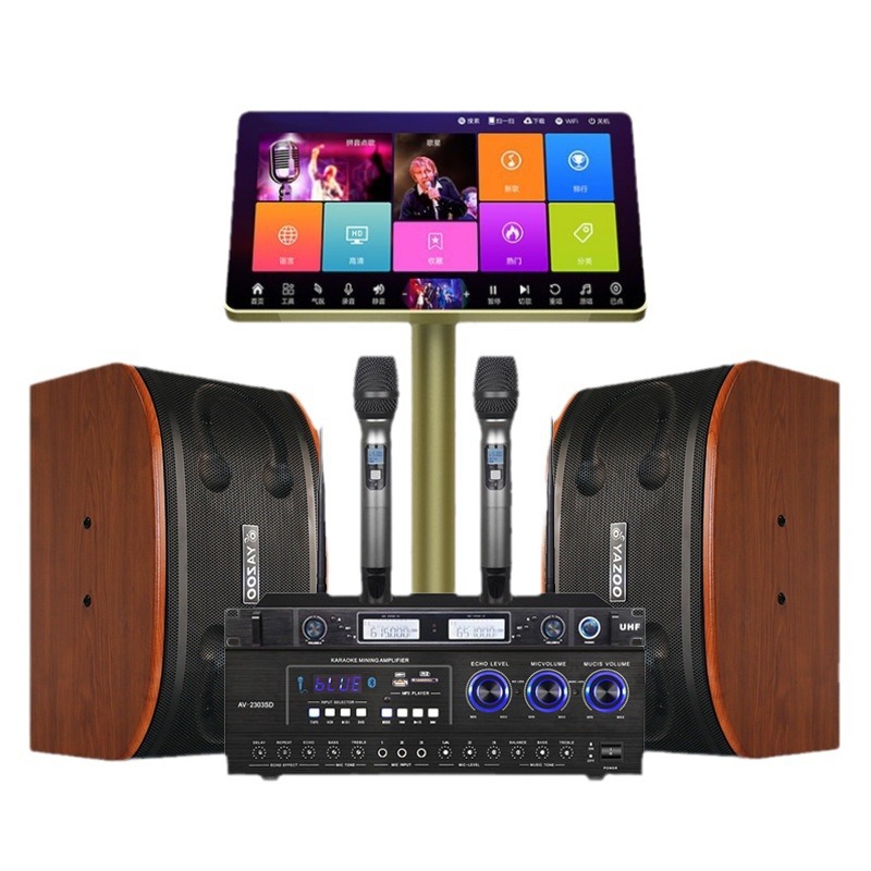 Venta al por mayor personalizado familia KTV profesional audio traje hogar karaoke Conferencia conjunto completo 10 pulgadas titular de la tarjeta altavoz