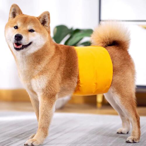 Pet Dog Diapers, Physiological Pants, Absorbent Adjustable for Cats and Dogs, Washable Reusable, Waterproof