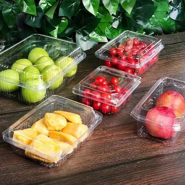 一次性透明水果包装盒带盖一斤装西瓜打包盒圣女果塑料便携果切盒
