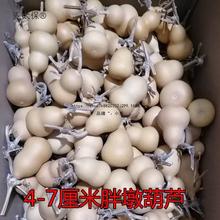 然葫芦一物一图堆文玩手捻草里金小八宝蚂蚁鸡蛋天津嘴双麦太保