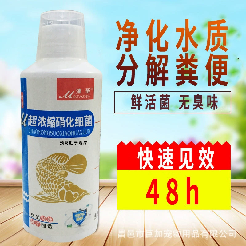 Аквариум нитрифицирующие бактерии аквариум нитрифицирующие бактерии агент для очистки воды в аквариуме пищеварение бактерии рыбные продукты Средство для очистки воды