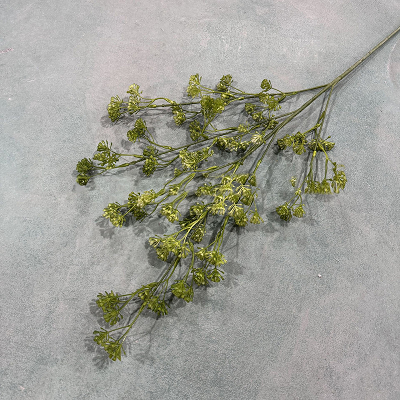 여러 머리 유채 꽃 녹색