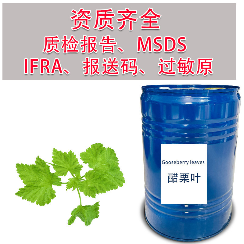 Gooseberry Leaf Fragrance Oil Robert's Same Single Fragrance Raw Material Gooseberry Leaf Fragrance Oil Robert's Same Single Fragrance Raw Material