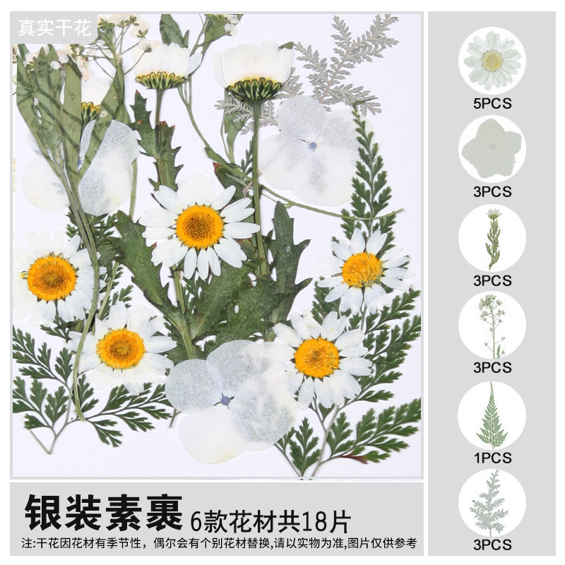 干花diy材料包永生花压花片押花草手工滴胶书签真花植物树叶标本|undefined