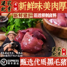 现杀生鲜猪肝内脏猪肝散养土猪整副猪肝批发猪下水猪排包装常温