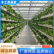水培方管立体种植架子瓜果蔬菜管道平面垂直种植系统温室无土栽培