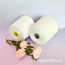 ����F؛���h�V��ճ�z����40֧R40S���ᘿ��C�����Ͽp�x������