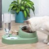 Cat food automatic feeder drinking water bowl猫粮自动喂食器|ru