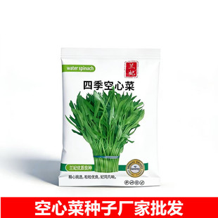 ���ߴ�9-12cm���m���S��ֱ�N�߲˷N����˿��Ĳ��ѷN���N�߲˷N��