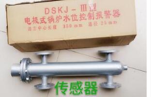 锅炉水位计器/电极式水位传感器 型号:DS100-DSKJ-IV