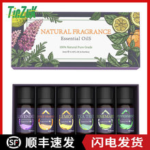 �羳�η��������b�m��추U��x�ӝ���܇�d��޹�CϞ�T�������w�o��