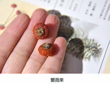 ��ֲ����h��Ȼ�ɹ��Ϲ�DIY����ς��Ԅ���������b��Ϲ�
