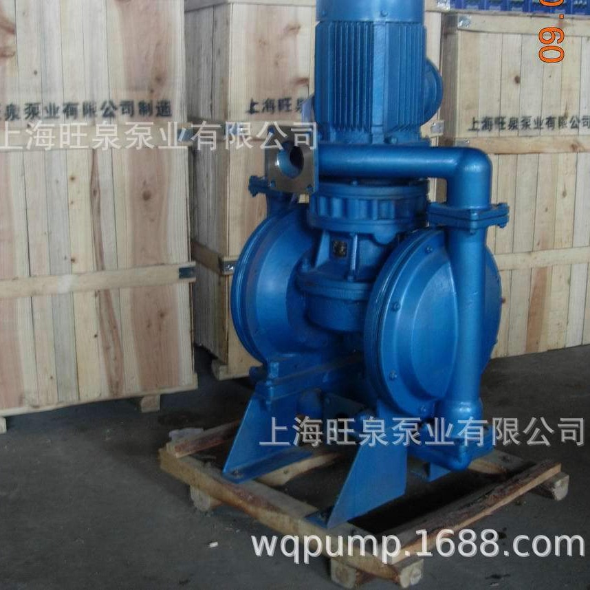供应上海旺泉DBY立式电动隔膜泵（大型直立隔膜泵）