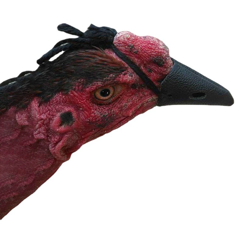 Фермы для уменьшения количества Петухов, играющих в петушиные бои, комплекты рта для одомашнивания петушиных боев, тренировочные Защитные защитные средства