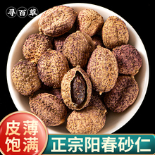 ���ٲݴ�ɰ�ʲďV�|ꖴ��خaɳ��ꖴ�ɰ��ɳ����؛