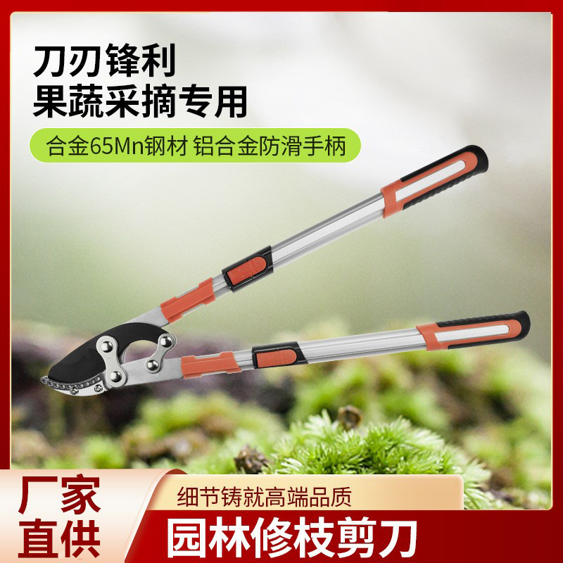 粗枝果树剪枝剪刀大力绿化修枝剪树枝园林专用强力剪子花木枝省力