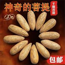 精选千眼菩提佛心果原籽原料千眼菩提佛心果彩果老果金包玉绿果