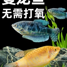 �����~�Ꭷ�^�p�~���~��ˮС���~���R�����~���B�ͻ���������~