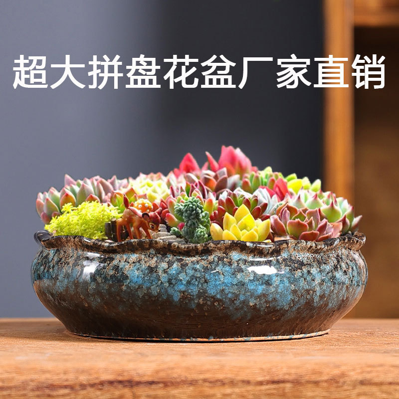 Fleshy flowerpot large diameter extra large simple fleshy pot factory direct ceramic stoneware platter special clearance