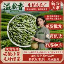 溢鼎香毛峰绿茶2026新茶明前头采高山云雾黄山绿茶嫩芽兰香散茶直