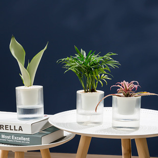 Automatic Self-Watering Succulent Pot, Transparent Hydroponic Planter for Easy Gardening