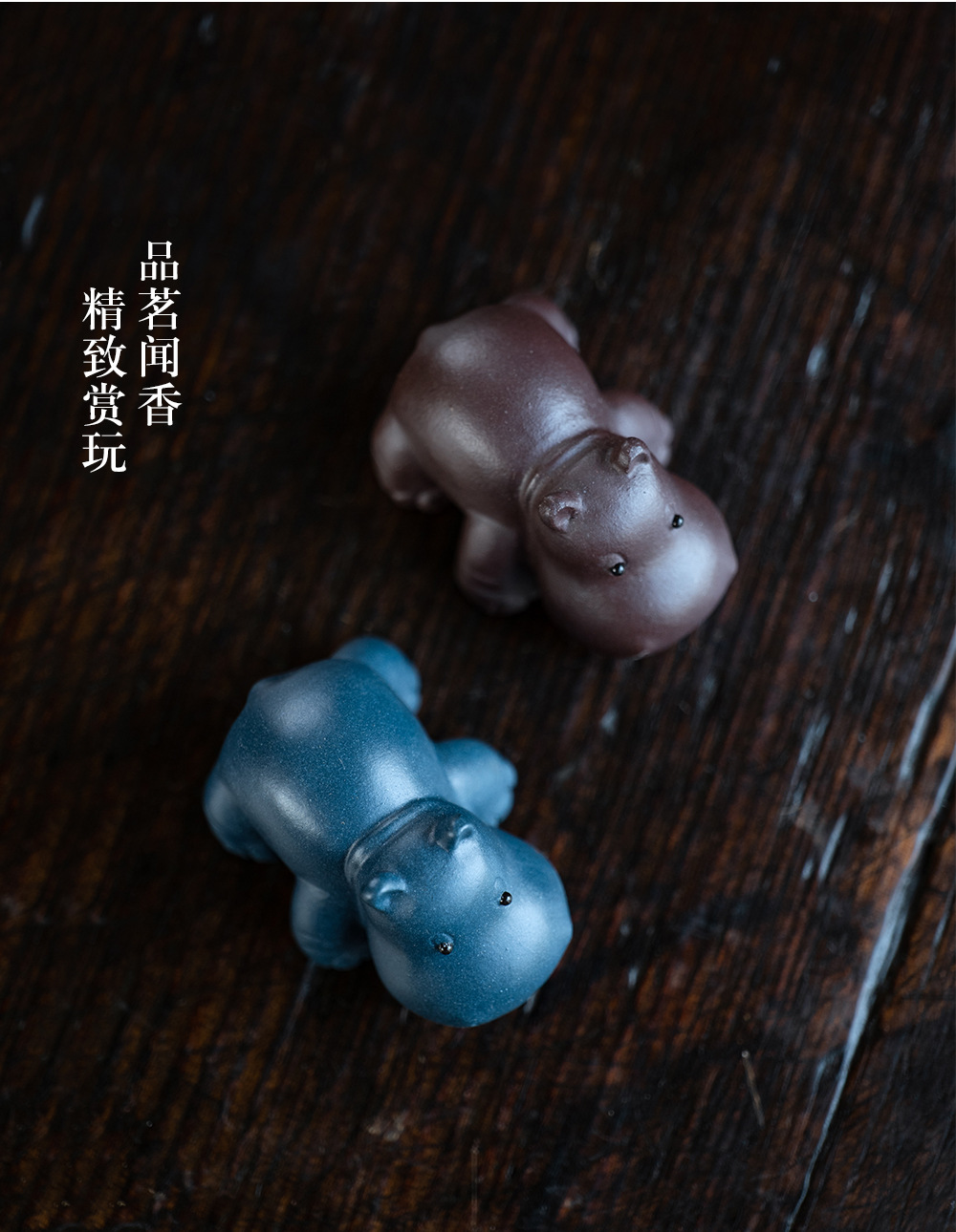 小河马20240528 (21).jpg