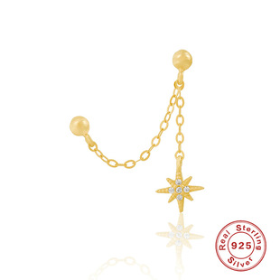 Pendant, brand earrings, silver 925 sample