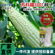 �K��Ŵ1801��Ŵ���׷N���r����ؼ�ͥ�ˈ@�֗U��Ŵ���׷N�����l