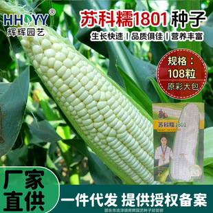 �K��Ŵ1801��Ŵ���׷N���r����ؼ�ͥ�ˈ@�֗U��Ŵ���׷N�����l