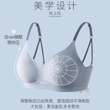 ļ̶@СoۃŮо۔nո´