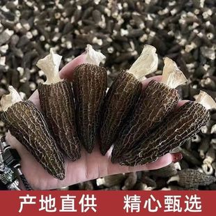 ��Ǿ���؛500g �^����Ǿ���؛���l ���x������Ǿ���؛���]
