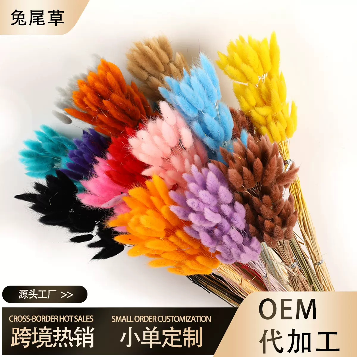 【兔尾草】干花花束狗尾巴草干花永生花批发花束跨境热卖diy配材